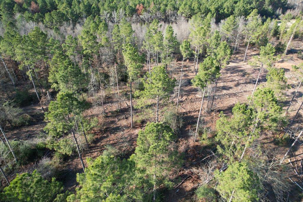 Beckville, TX 75631,TBD-D County Road 216