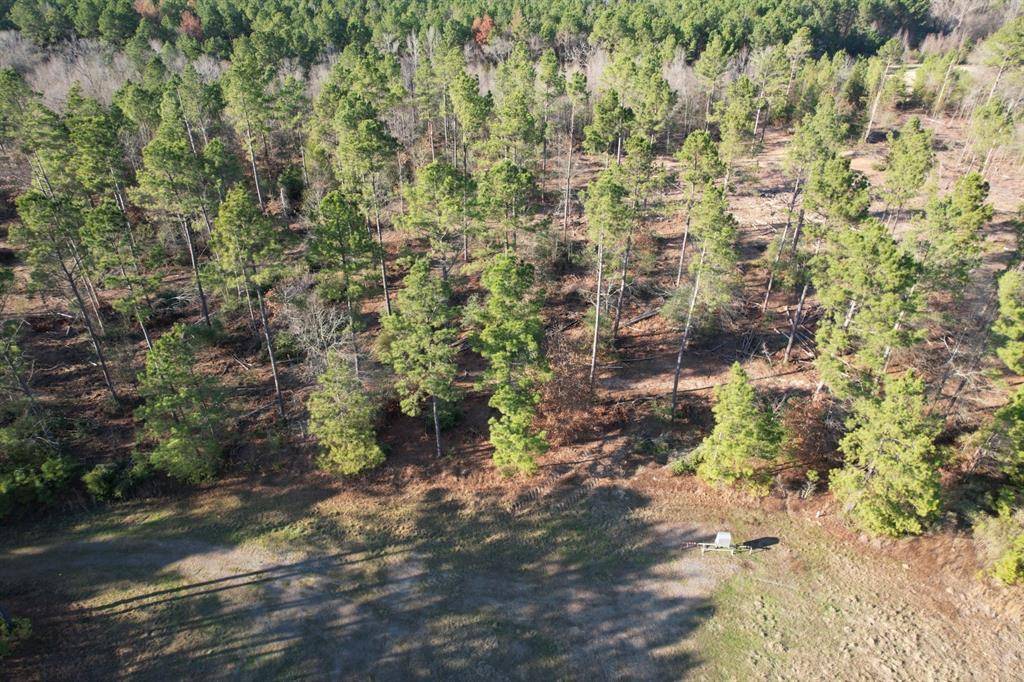 Beckville, TX 75631,TBD-D County Road 216