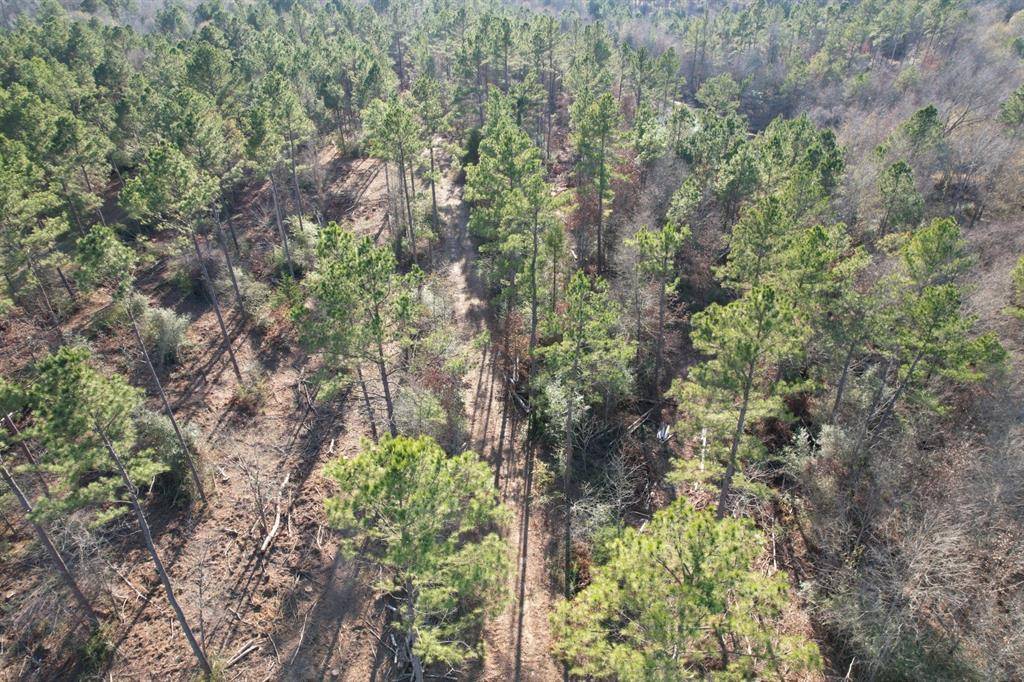 TBD-D County Road 216, Beckville, TX 75631