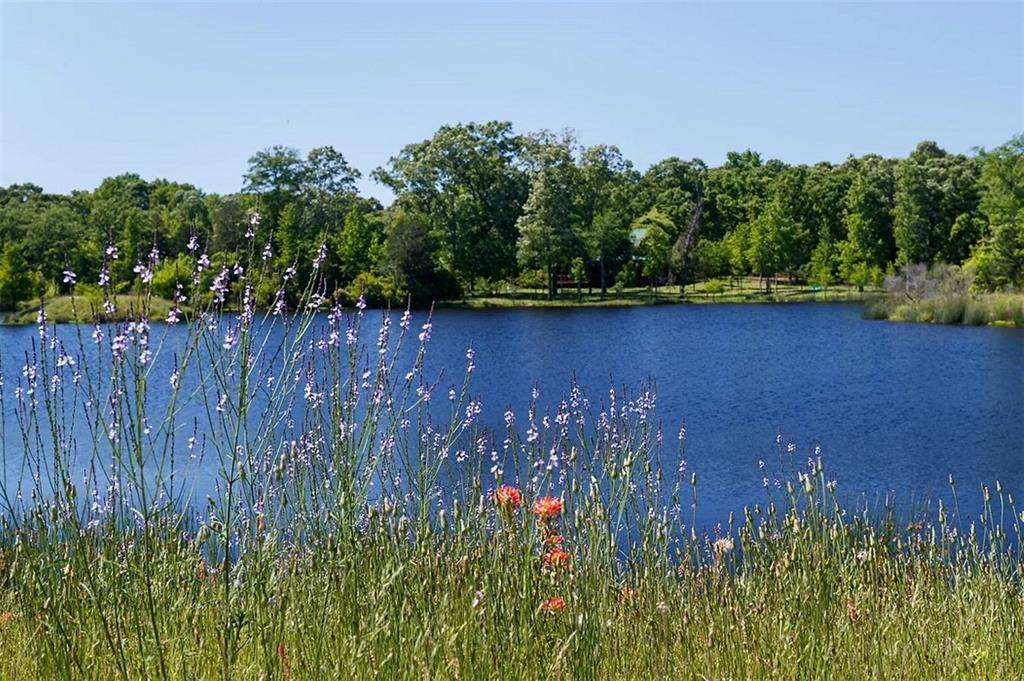 Montalba, TX 75853,7 Lakeside Drive