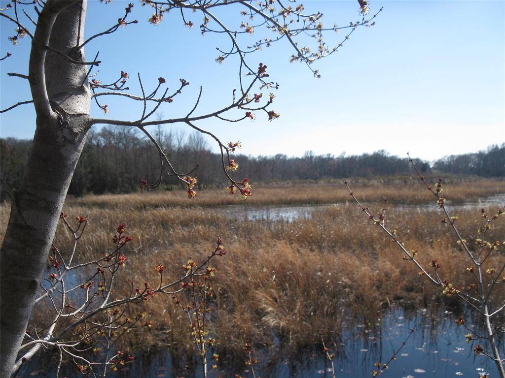 TBD 133 AC +- VZ County Road 4701, Ben Wheeler, TX 75754