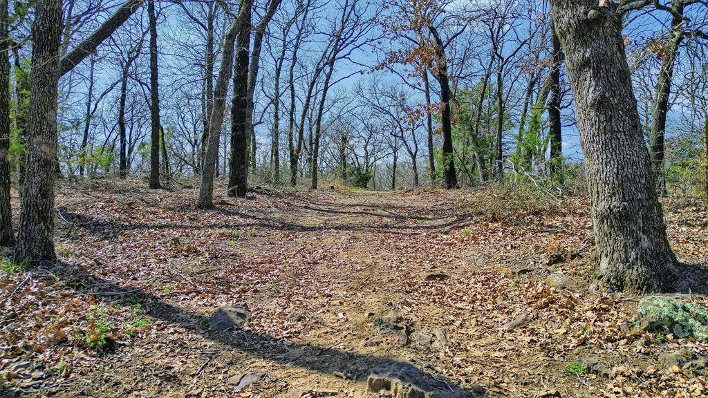 Gainesville, TX 76240,278 Neely Trail