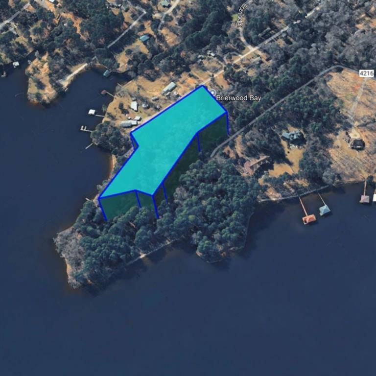 Frankston, TX 75763,TBD Carene Drive