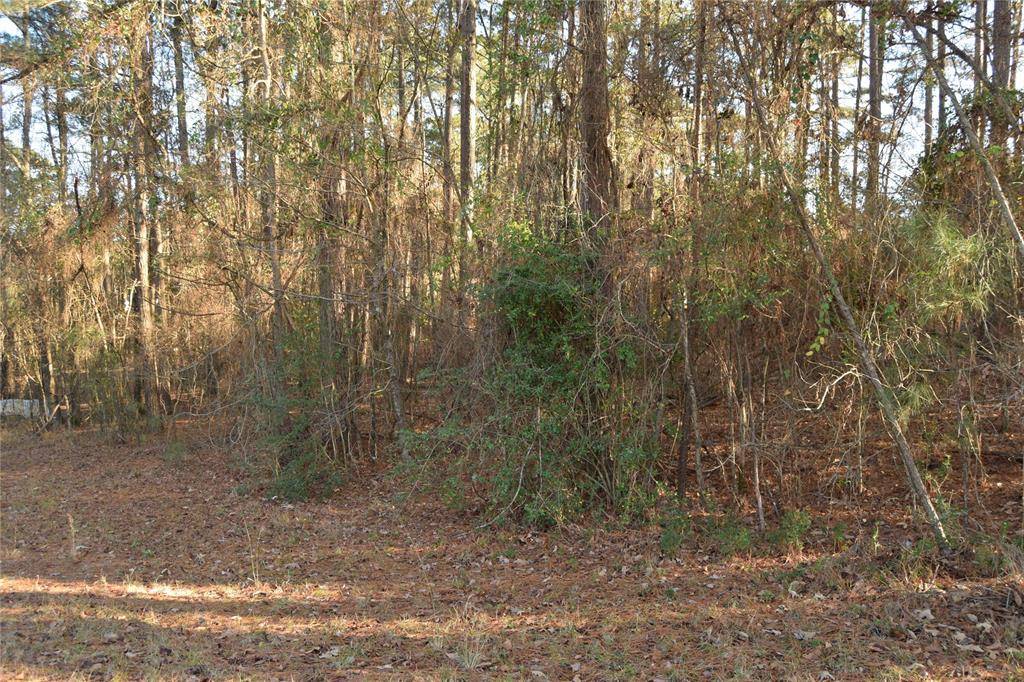 Minden, LA 71055,Lot # 21 Timberline Drive