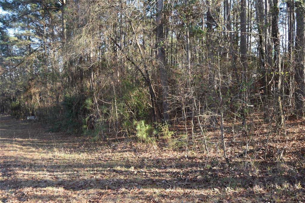 Minden, LA 71055,Lot # 21 Timberline Drive