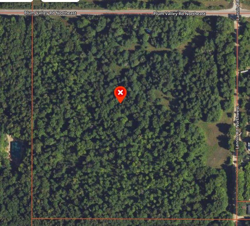 Alden, MI 49612,1091 Plum Valley Road NW