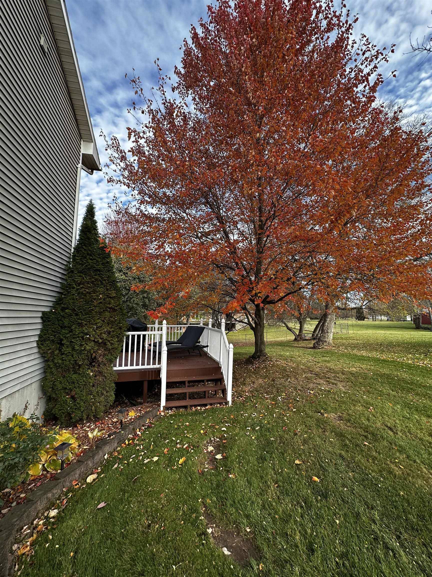 Mount Pleasant, MI 48858,3021 Brittany DR