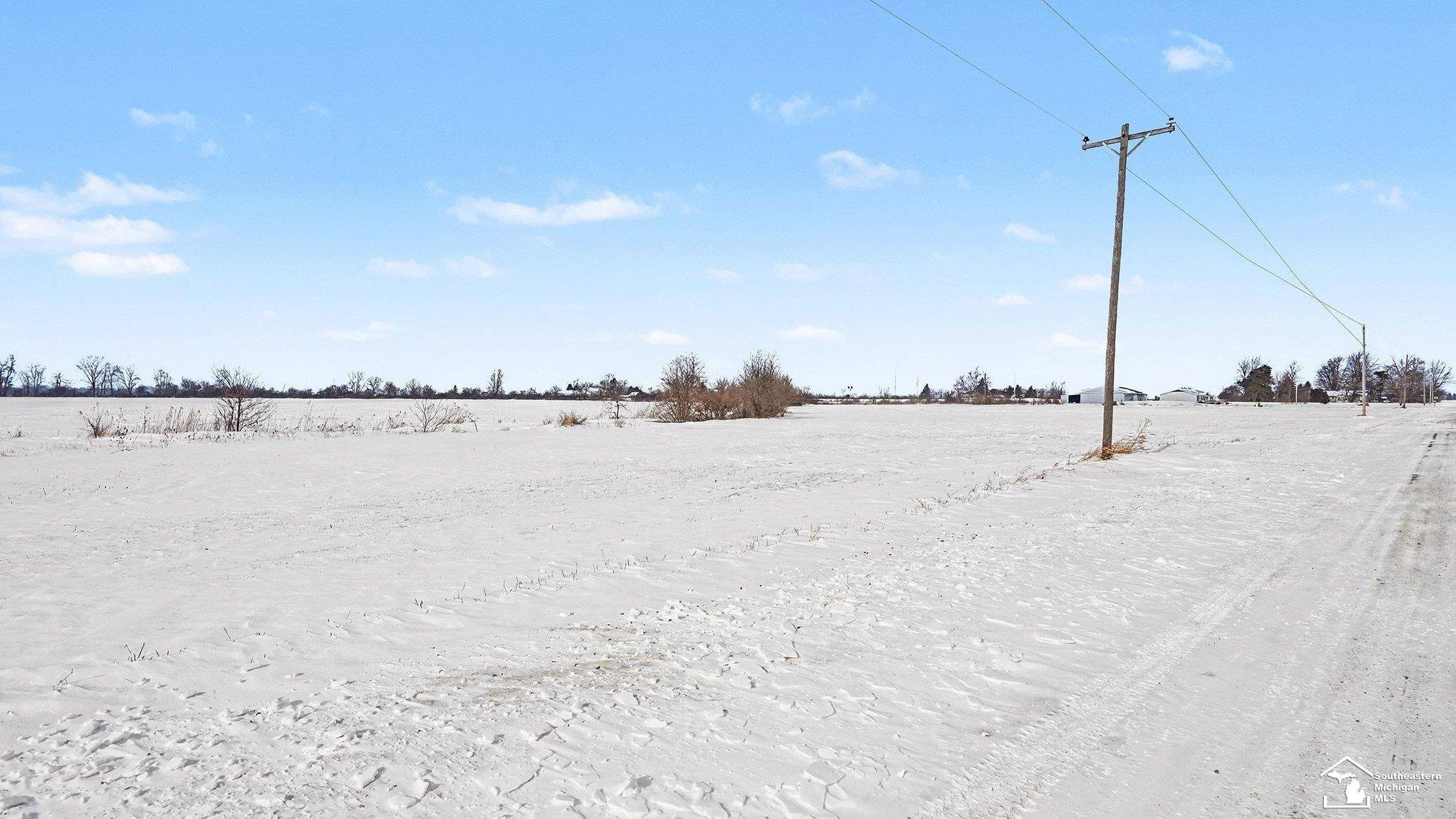 Britton, MI 49229,1 Shaw HWY