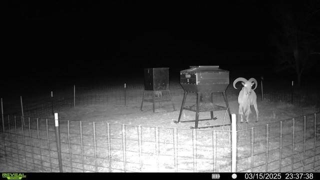 Brownwood, TX 76801,15100 County Road 129