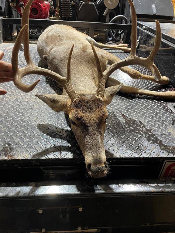 Brownwood, TX 76801,15100 County Road 129