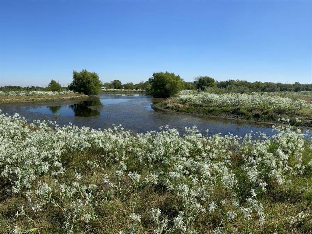 Terrell, TX 75161,6096 Abner Road