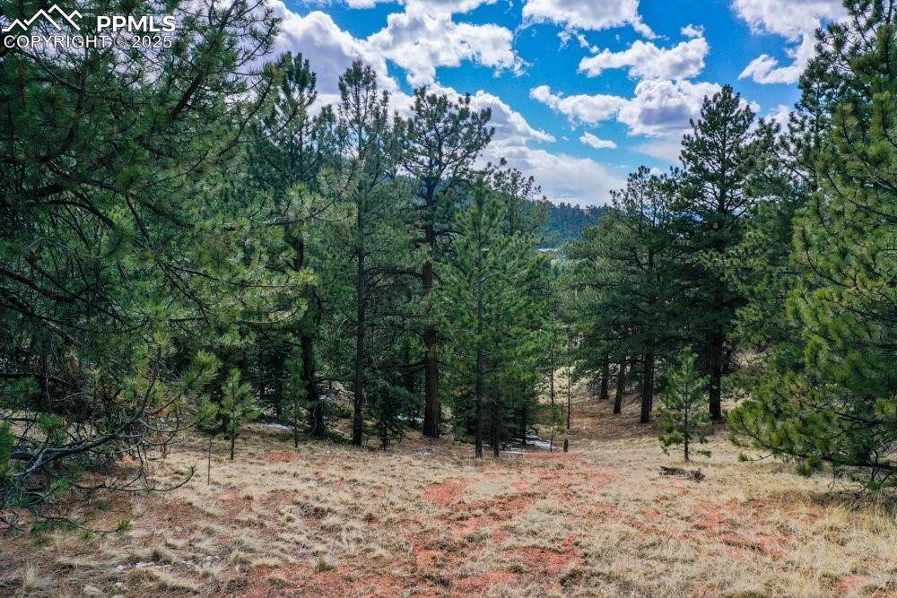 395 WABASH TER, Cripple Creek, CO 80813