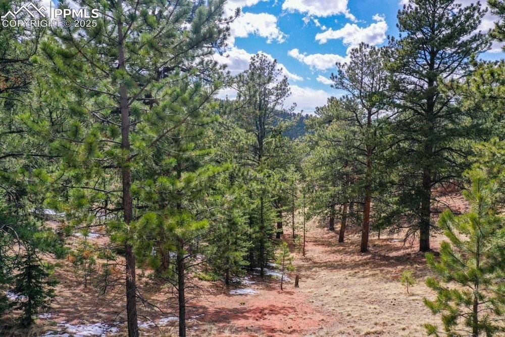 395 WABASH TER, Cripple Creek, CO 80813