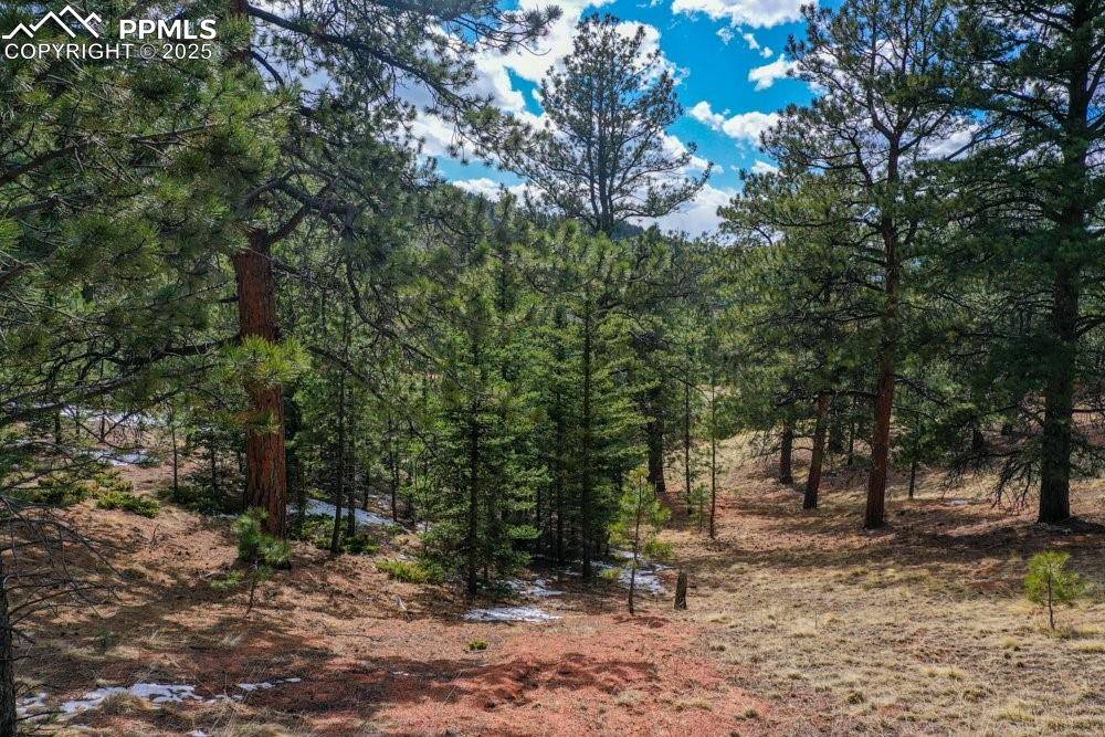 395 WABASH TER, Cripple Creek, CO 80813