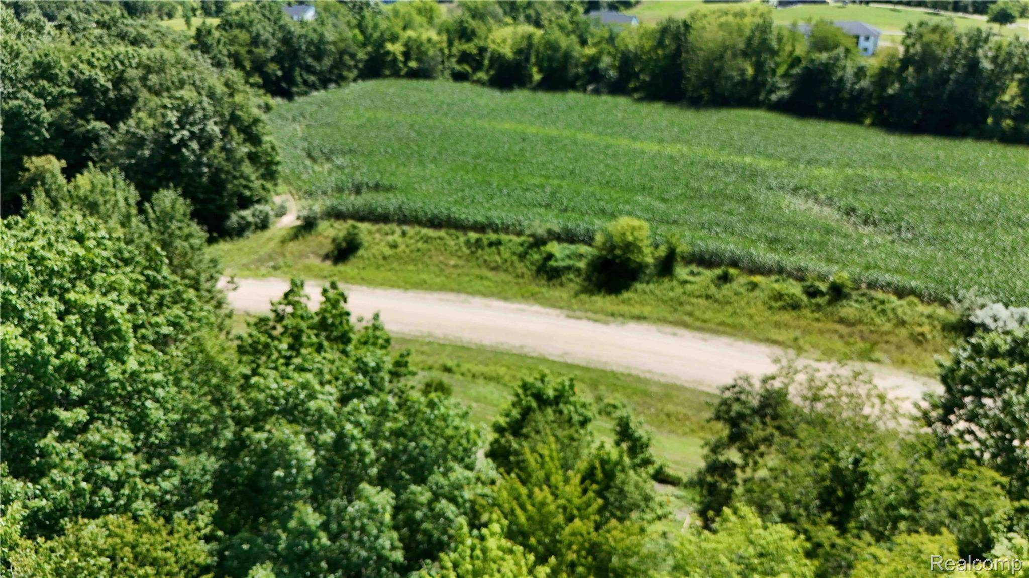 Parcel 1 Sycamore St., Dryden Township, MI 48428