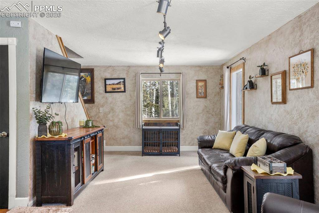 Divide, CO 80814,4076 Omer LN