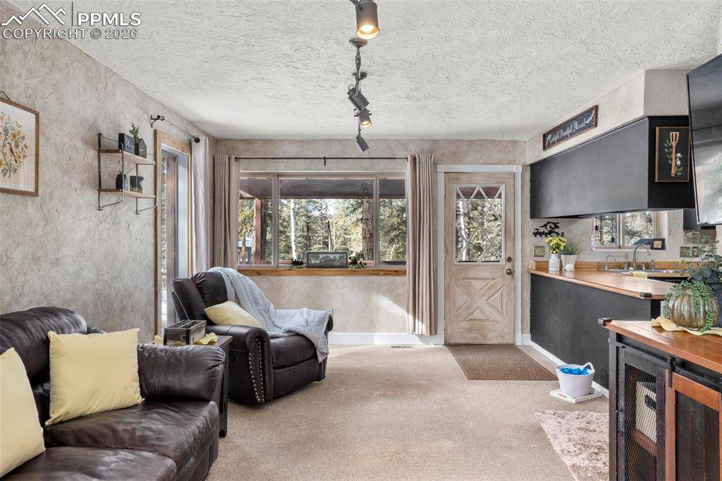 Divide, CO 80814,4076 Omer LN