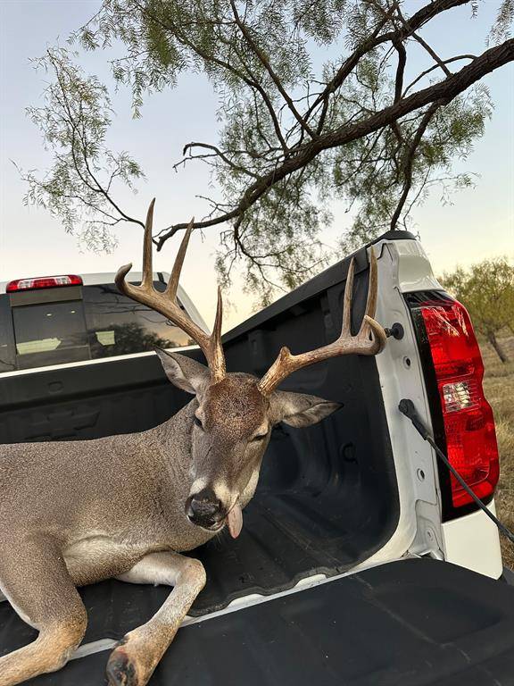 Anson, TX 79501,6525 US Highway 180 E