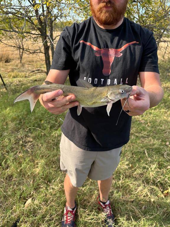 Anson, TX 79501,6525 US Highway 180 E