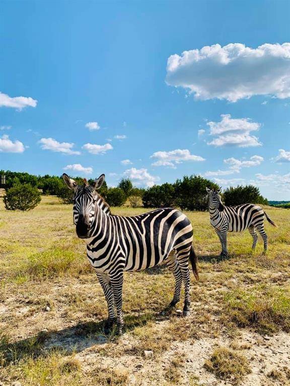 Lampasas, TX 76550,Tract 1 County Road 208