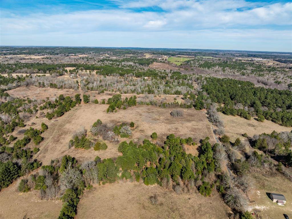 Chandler, TX 75758,0 COUNTY ROAD 3421