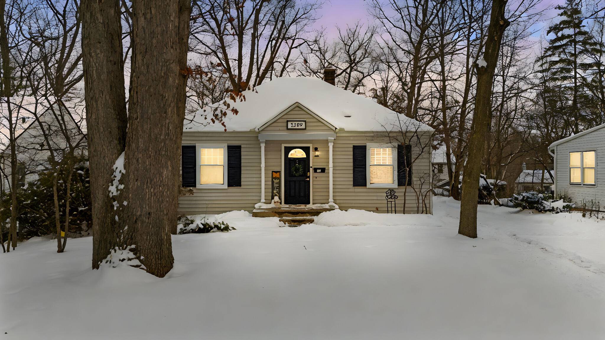 Ann Arbor, MI 48103,1209 Birk AVE