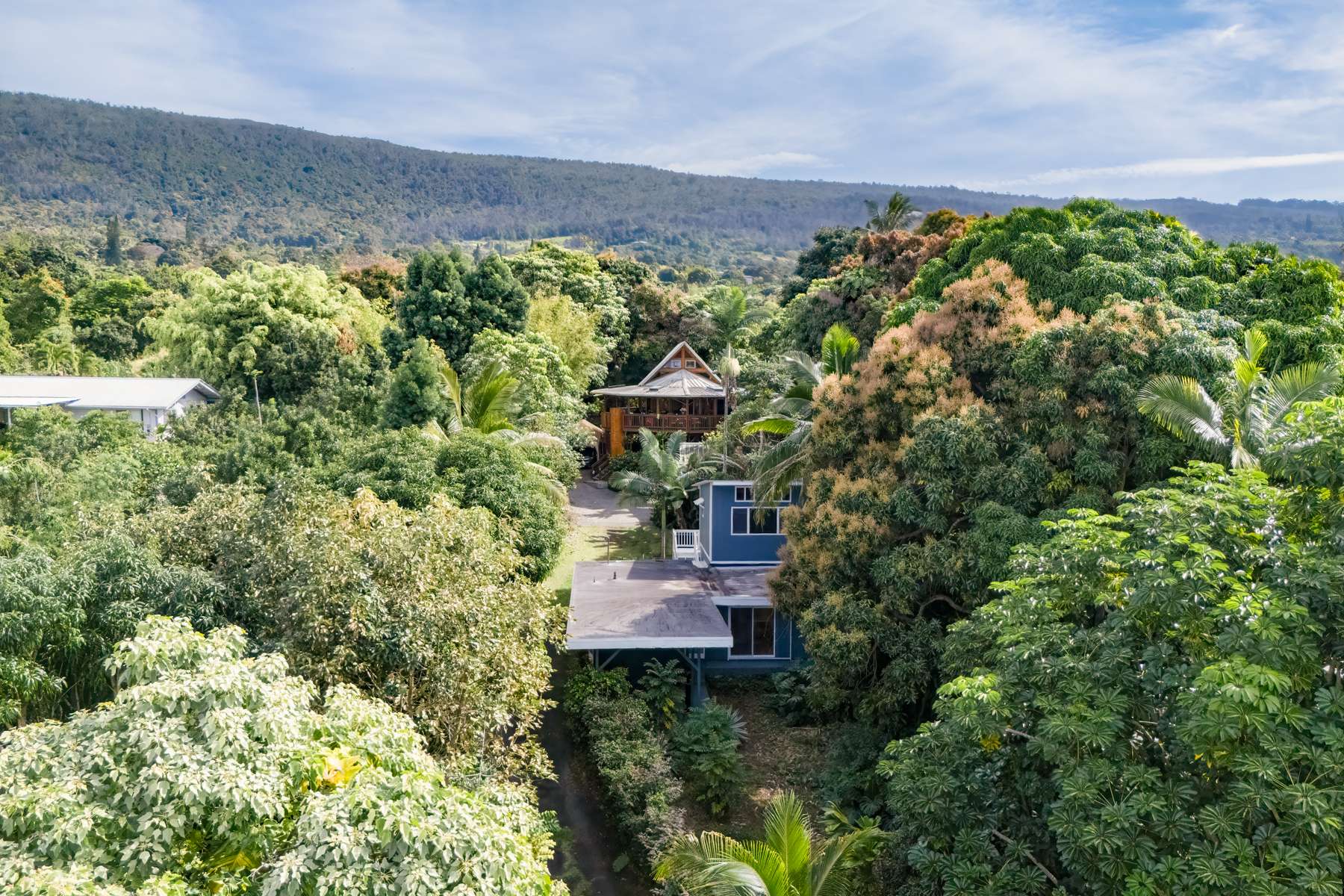 Captain Cook, HI 96704,83-5362-A PAINTED CHURCH RD #1