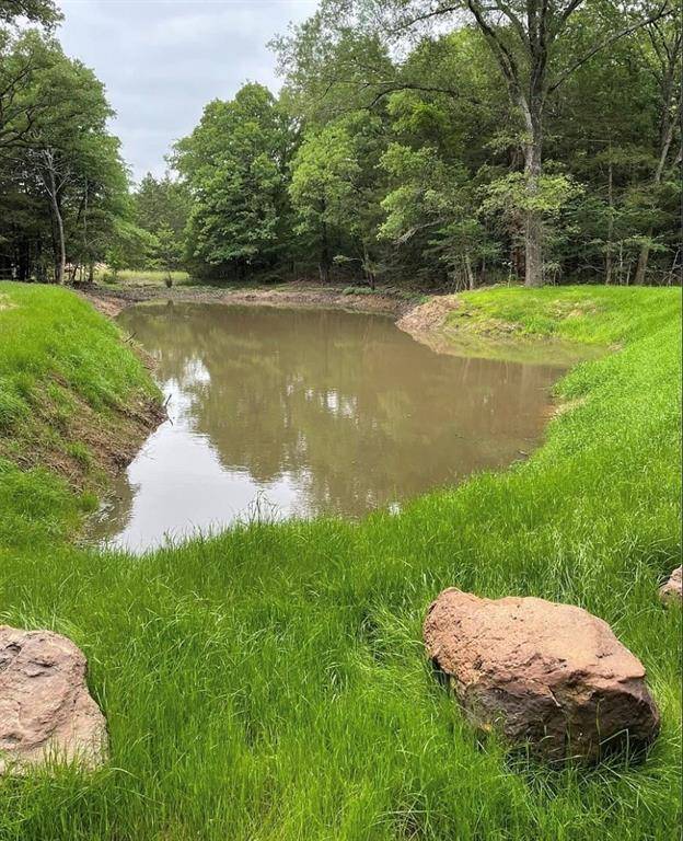 Lone Oak, TX 75453,LOT CR 1138