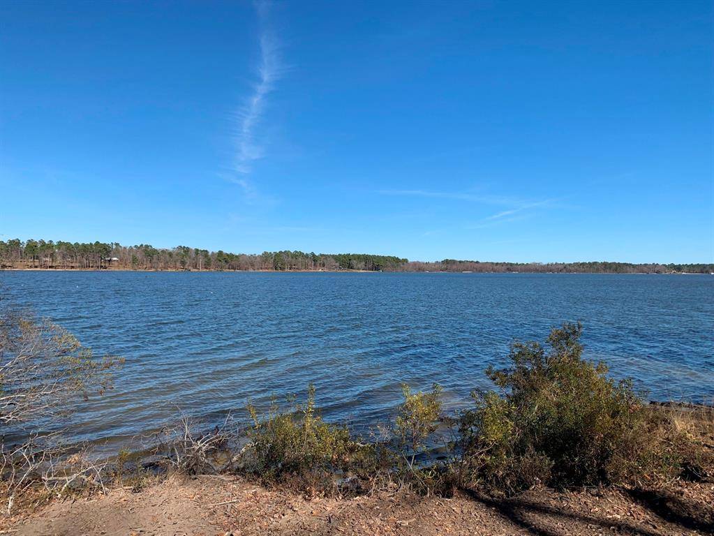 Larue, TX 75770,3266 Shadow Pine Drive