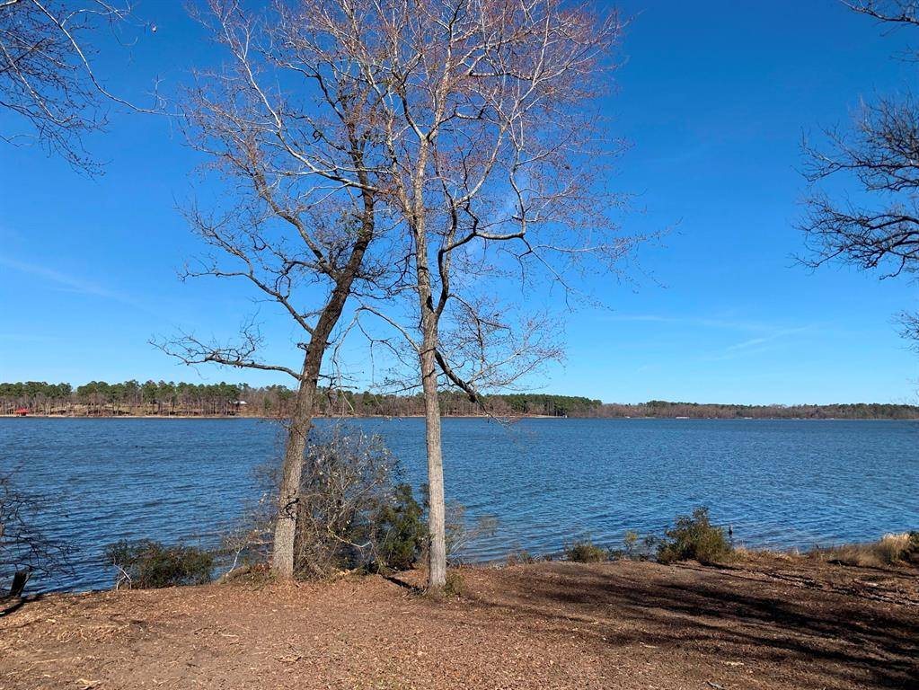 Larue, TX 75770,3266 Shadow Pine Drive