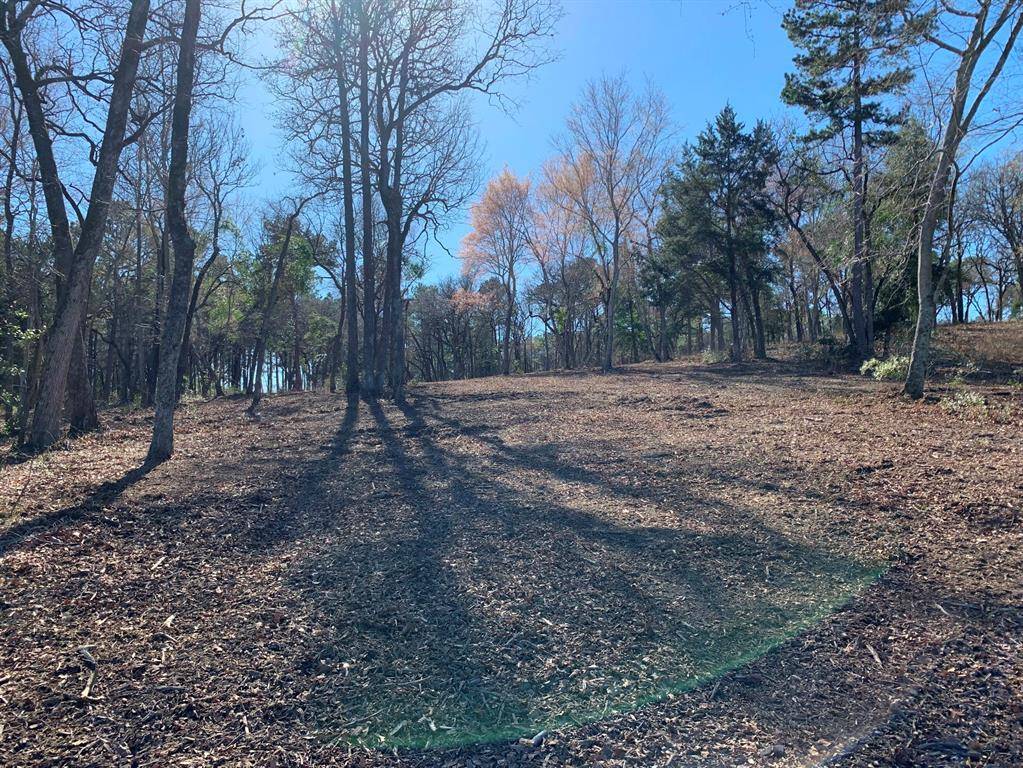 Larue, TX 75770,3266 Shadow Pine Drive