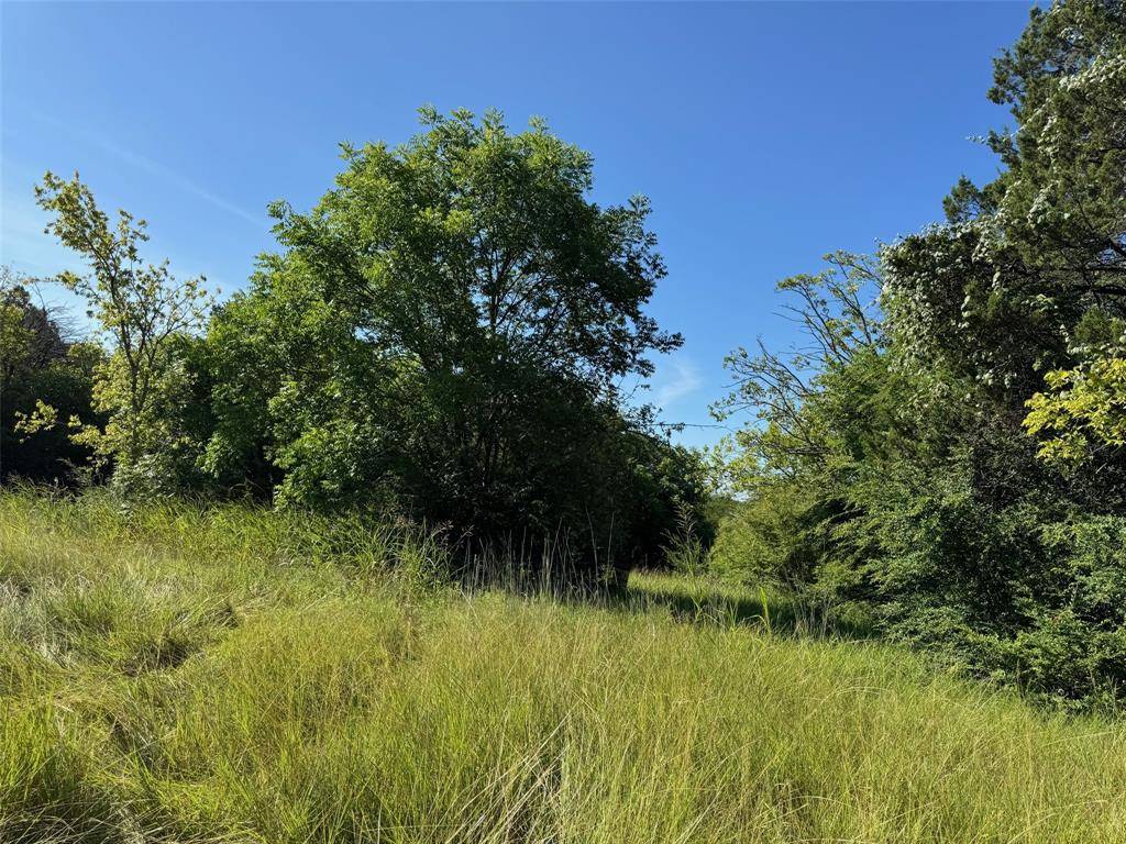 Cleburne, TX 76033,1156 Ridge Drive S