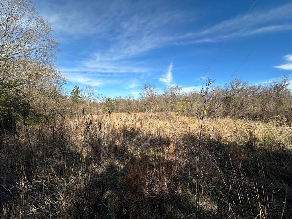 0000 County Road 2324, Como, TX 75431