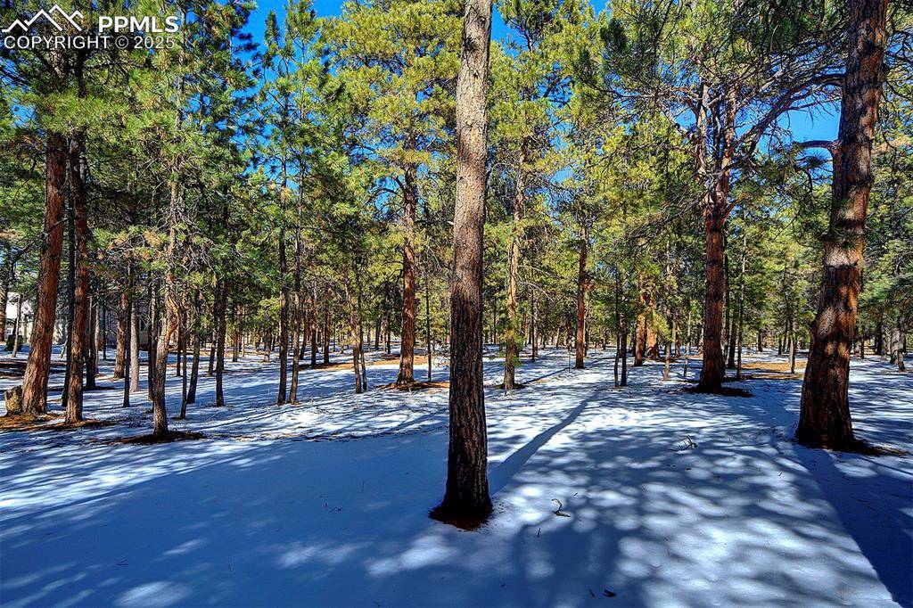 Colorado Springs, CO 80908,4070 Wavy Oak DR