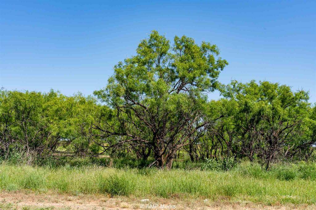 FM 2142 FM 2142, Rotan, TX 79546