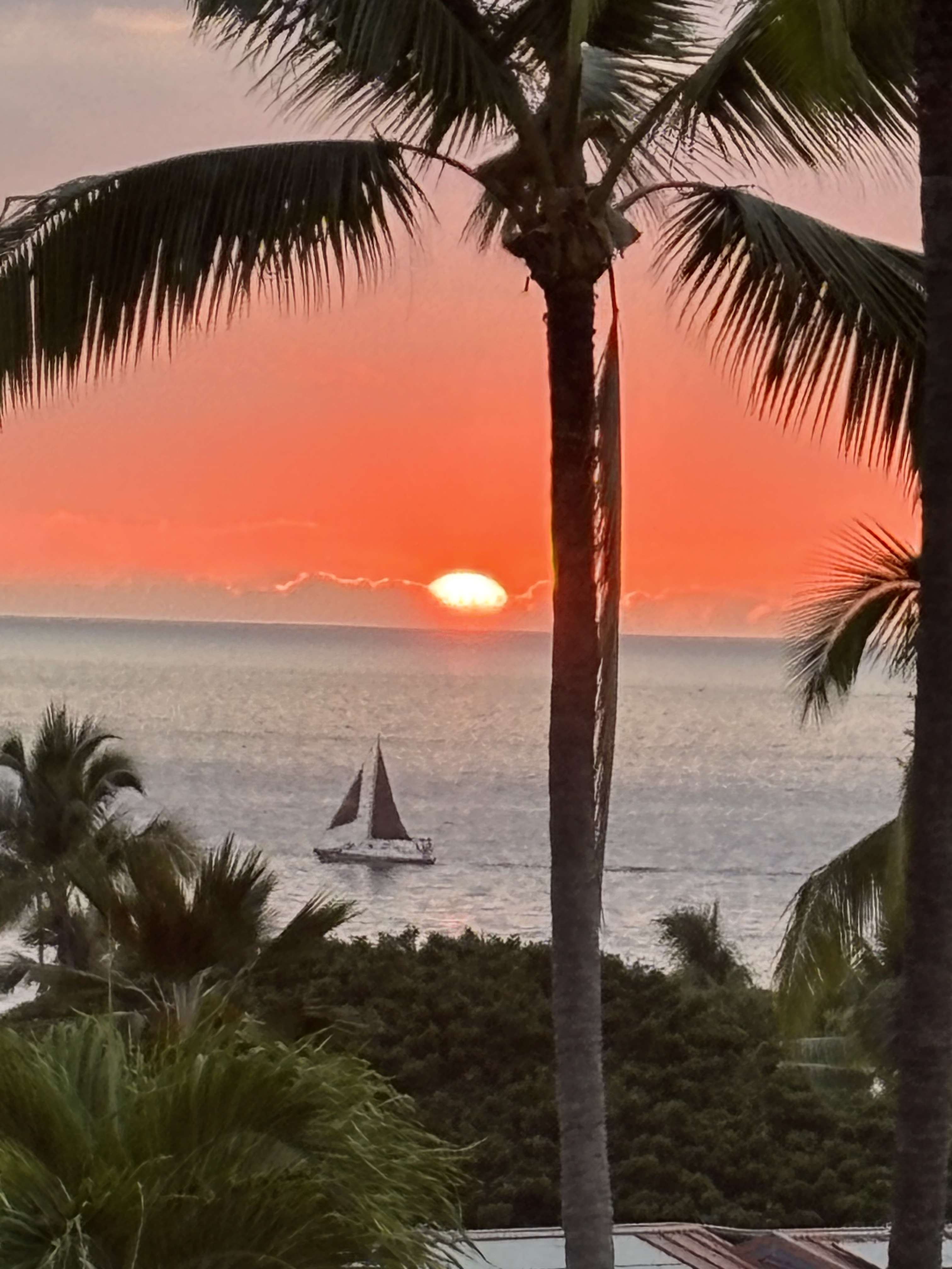 Kailua-kona, HI 96740,78-6842 ALII DR #1204