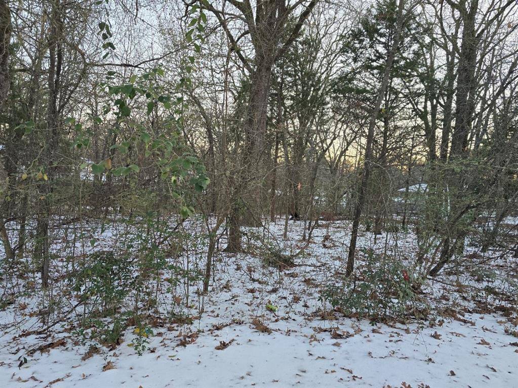 Gun Barrel City, TX 75156,Lot 752 Doe Run Road