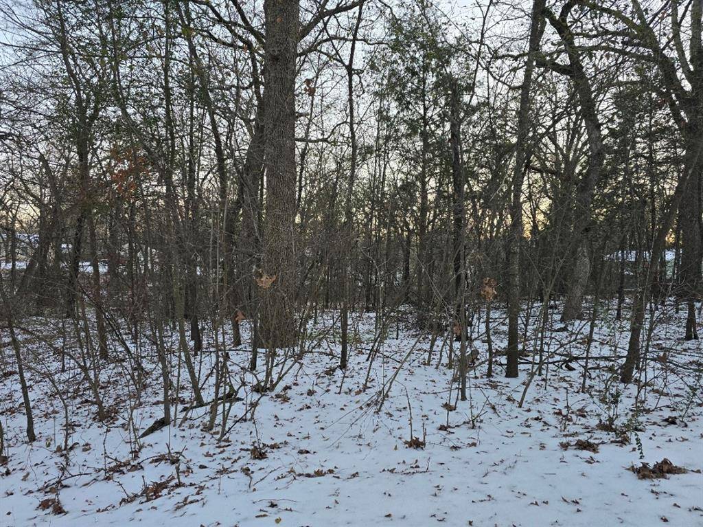 Gun Barrel City, TX 75156,Lot 752 Doe Run Road