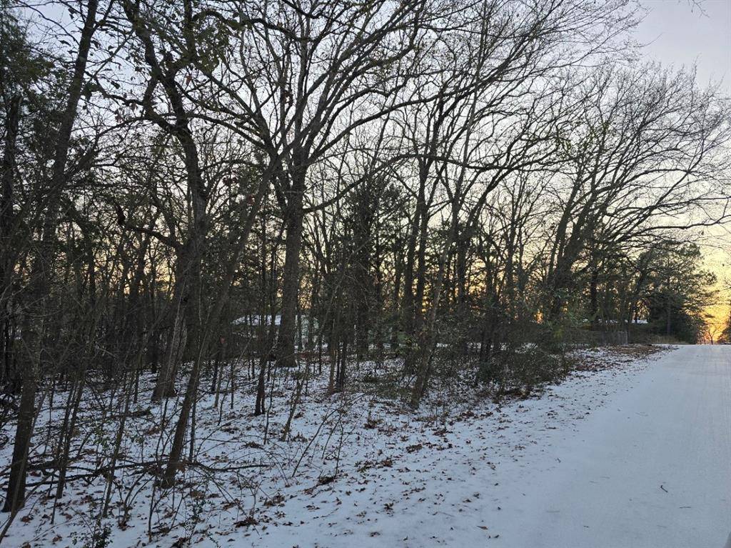 Gun Barrel City, TX 75156,Lot 752 Doe Run Road