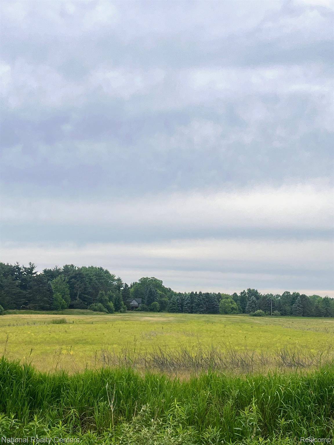 PARCEL G BURT RD, Berlin Township, MI 48002