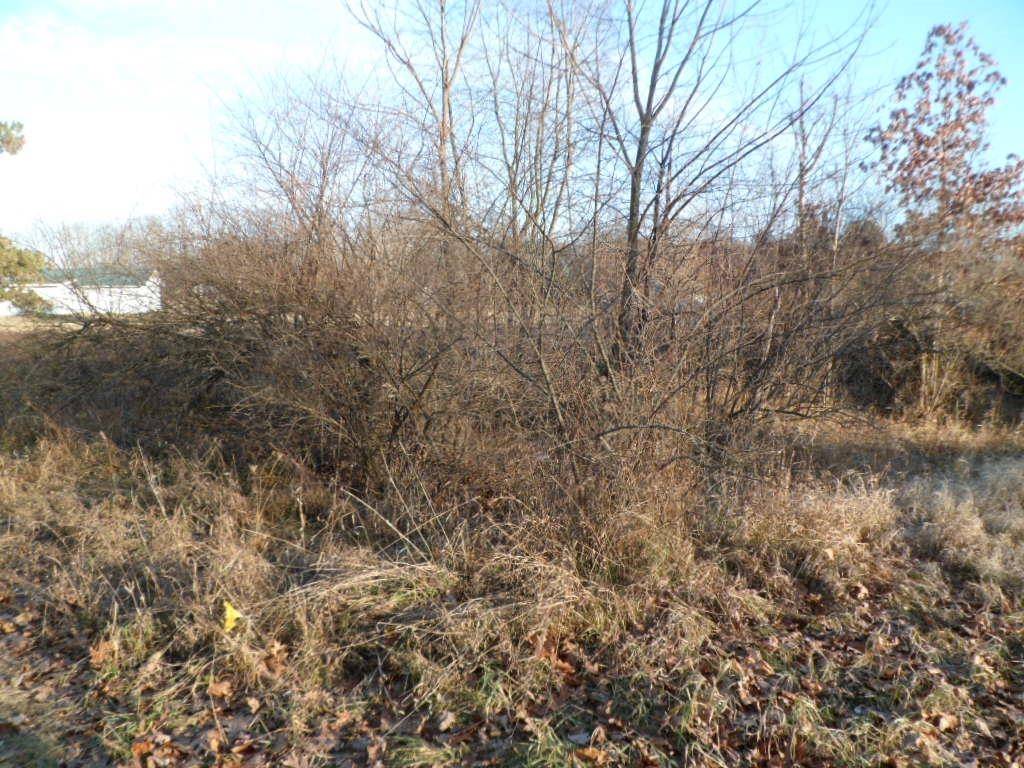 Lake Isabella, MI 48893,1012 Marietta ST