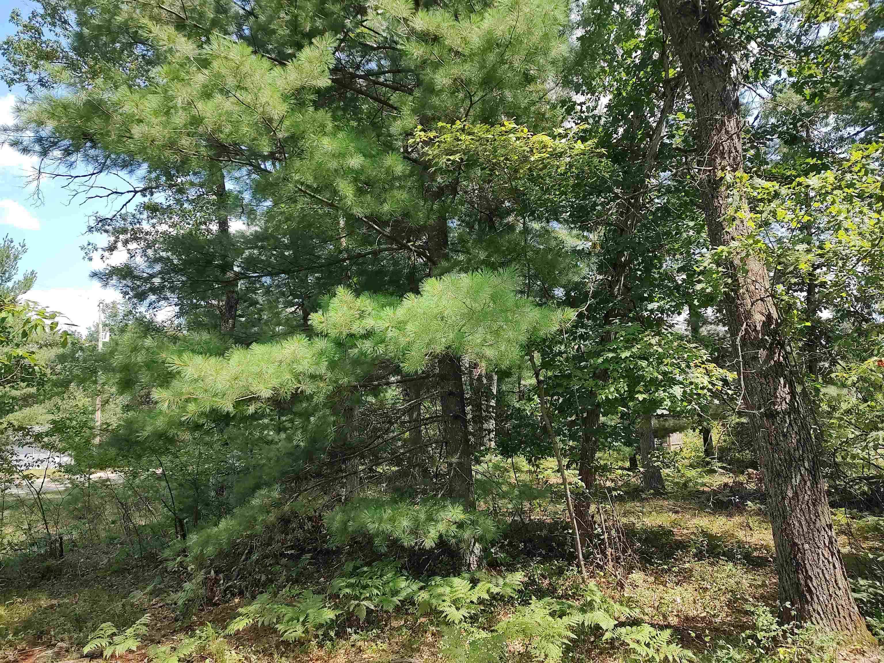 Alger, MI 48610,Lot 186 Winterset DR