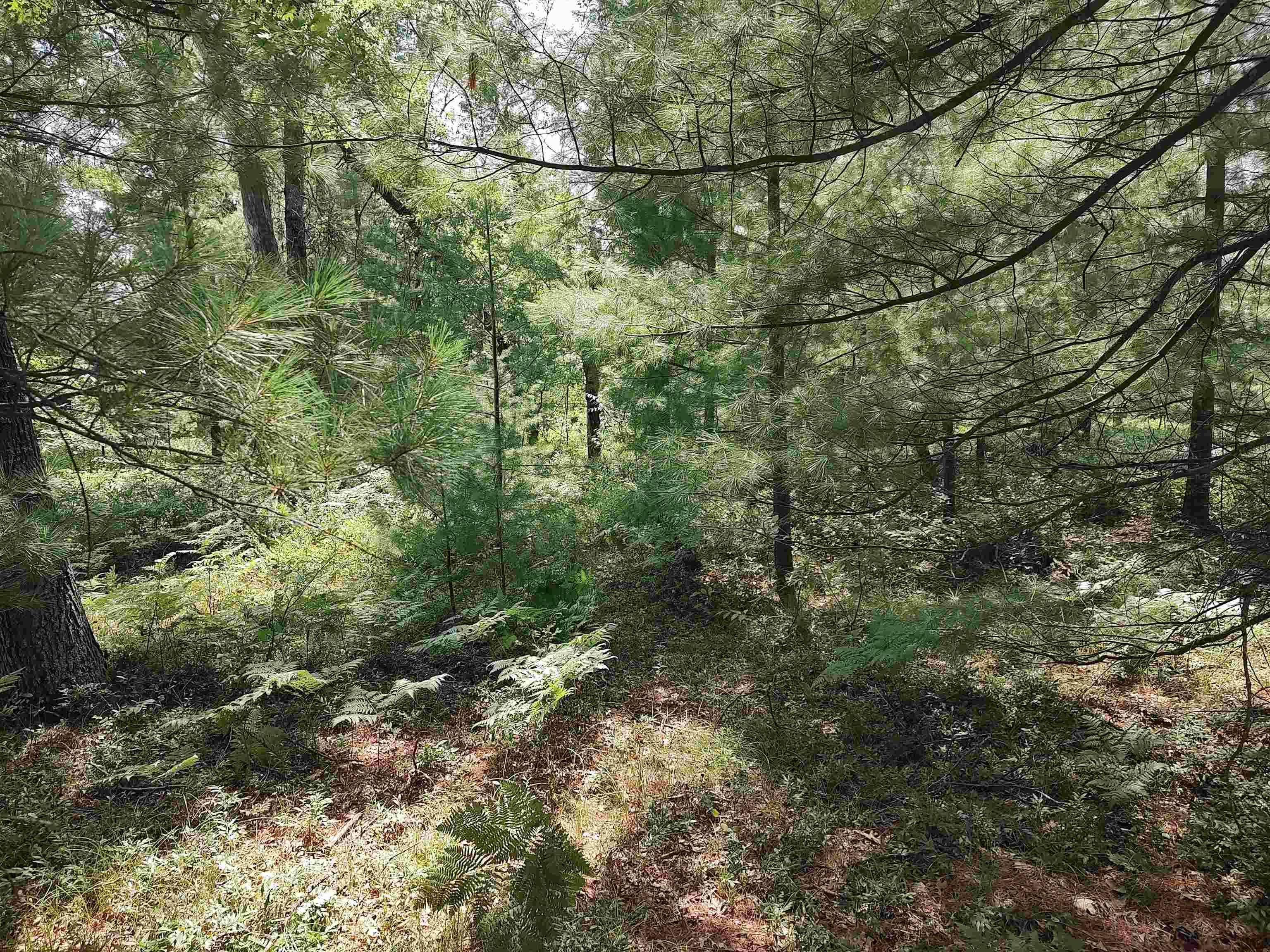 Alger, MI 48610,Lot 186 Winterset DR