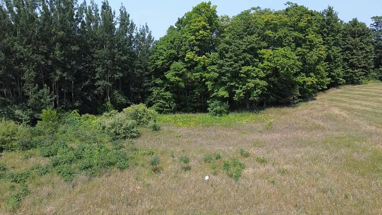 Unit #8 Turnberry CIR, Acme Twp, MI 49690