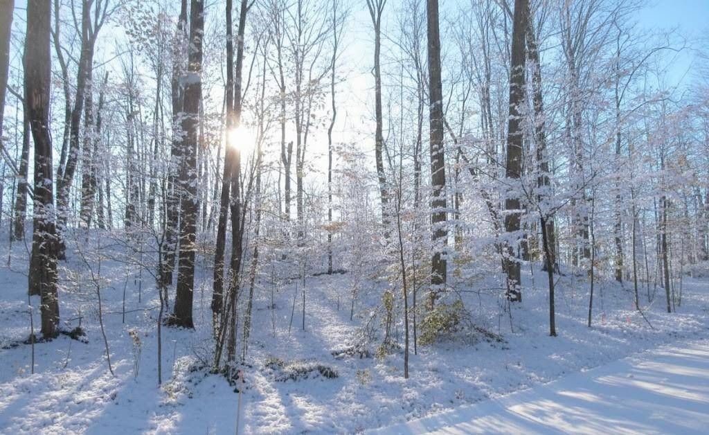 4181 Maple Hill RD, Blair Twp, MI 49637