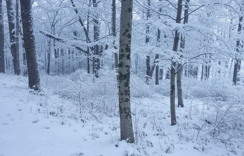 4181 Maple Hill RD, Blair Twp, MI 49637