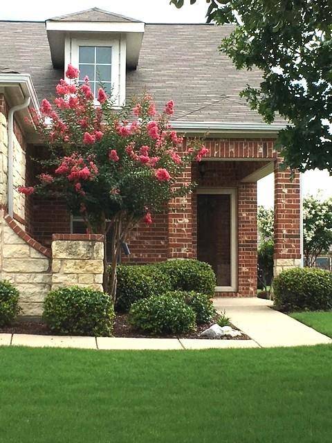 Frisco, TX 75036,559 Rockledge Court