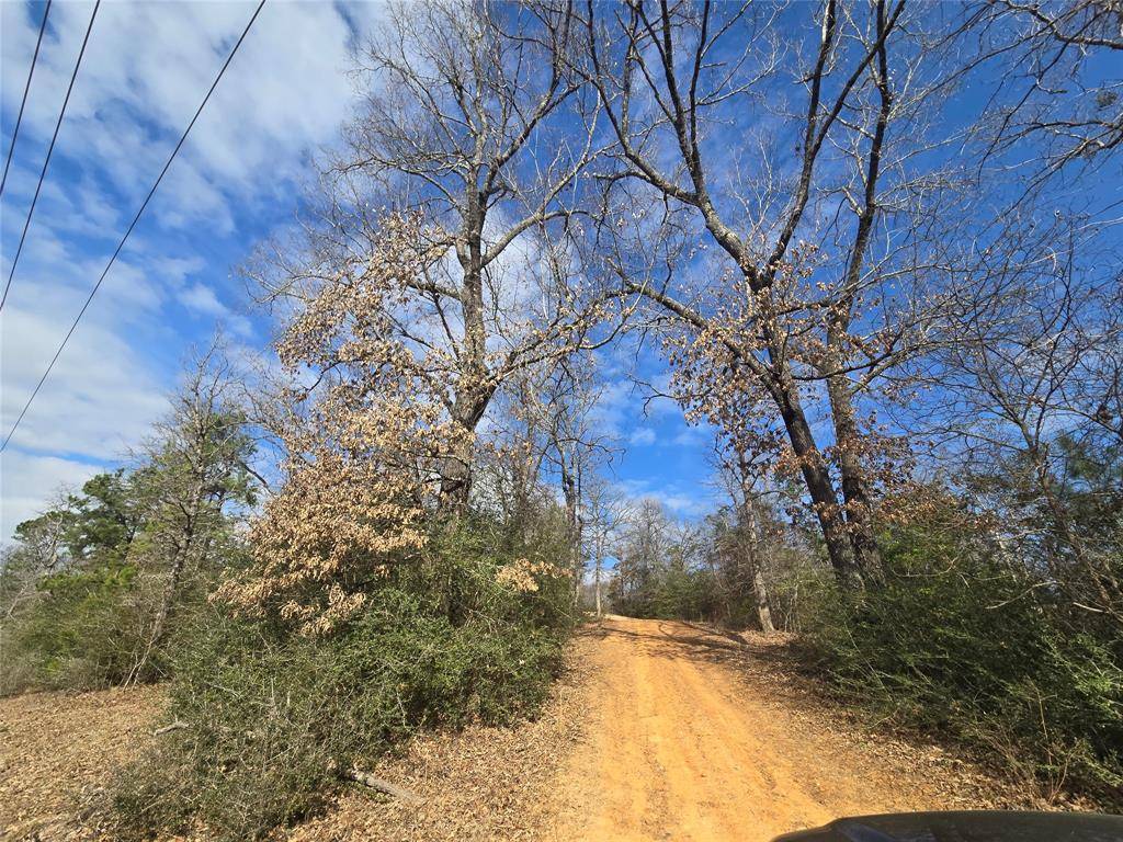 Big Sandy, TX 75755,12787 Fm 1002 S