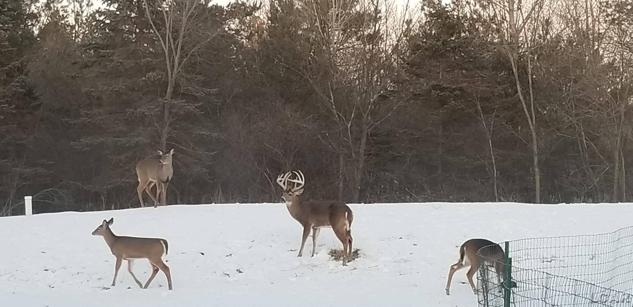 Tecumseh, MI 49286,100 BLK Pleasant DR