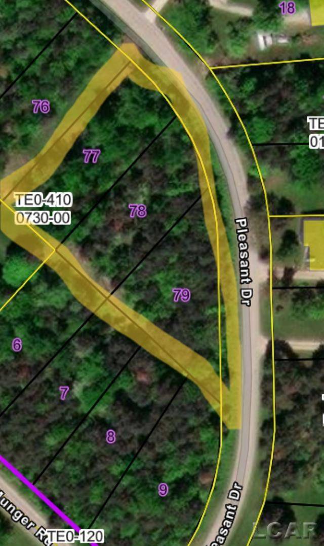 Tecumseh, MI 49286,100 BLK Pleasant DR